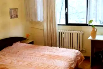 Двустаен апартамент в София, Изток