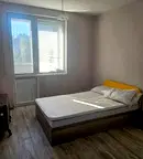 Двустаен апартамент в София, Павлово