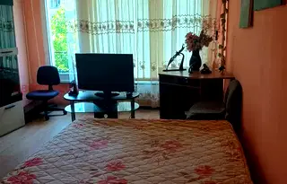 Едностаен апартамент в София, Борово