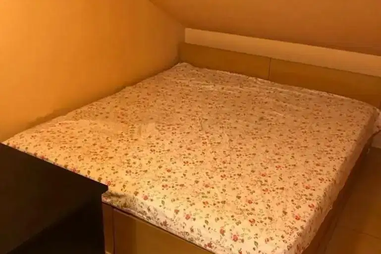 1-bedroom apartment in Sofiya, Triygylnika