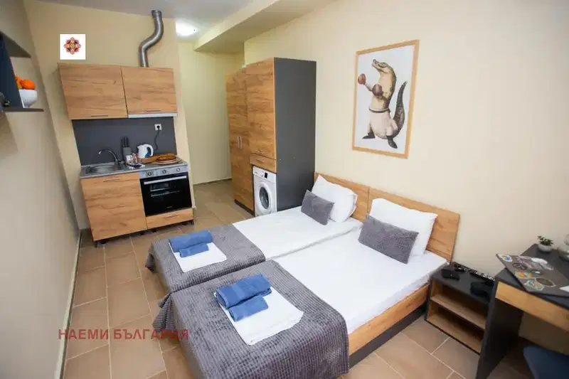 1-bedroom apartment in област София, Bojurishte