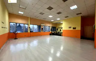 Бизнес имот в София, Гео Милев