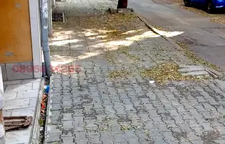 Гараж/Паркомясто в София, Белите брези