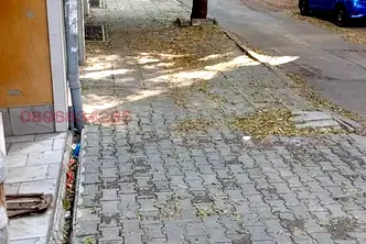 Гараж/Паркомясто в София, Белите брези