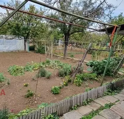 Снимка 5 — Парцел с малка постройка в Кону Бонар, Русе