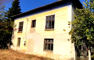 Къща в Монтана, с. Вирове