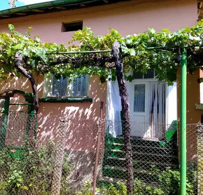 Снимка 4 — Къща в Плевен, с. Телиш