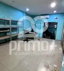 Магазин във Велико Търново, Акация