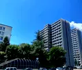 Снимка 3 — Магазин в София, Банишора