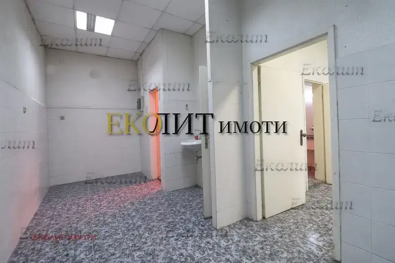 Магазин в София, Белите брези