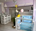 Снимка 3 — Магазин в Стара Загора, Център