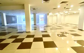 Магазин в София, Гео Милев