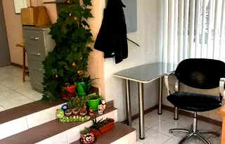 Магазин в Пазарджик, Идеален център