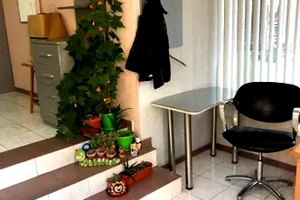 Магазин в Пазарджик, Идеален център