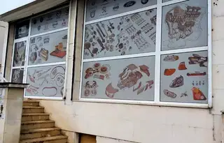 Магазин в Плевен, Широк център