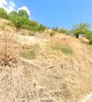 Земеделски имот в Хасково, Ивайлов