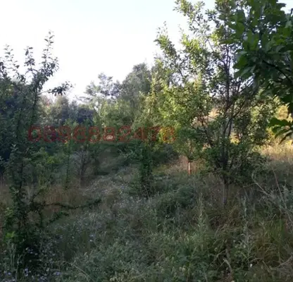 Photo 4 — Agricultural Land in Oblast Pernik, Zemen
