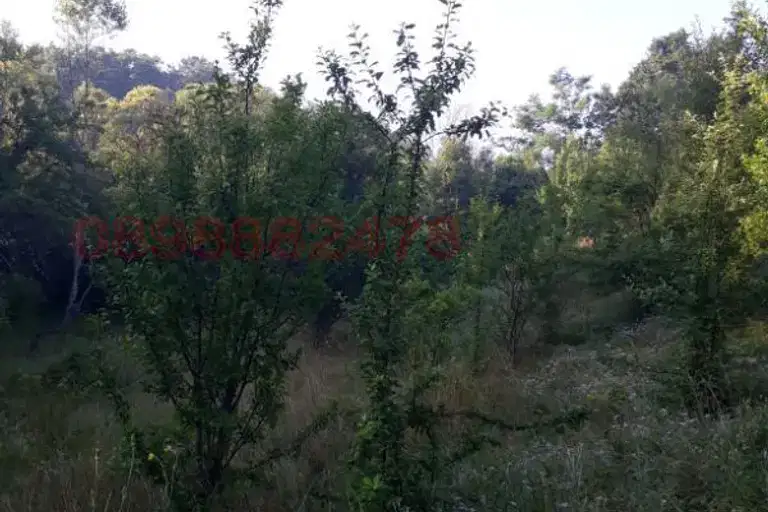 Agricultural Land in Oblast Pernik, Zemen