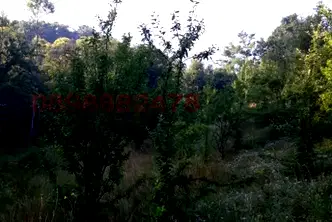 Земеделски имот в Перник, Земен
