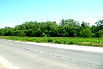 Земеделски имот във Велико Търново, Лясковец