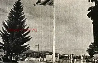 Бизнес имот в Пазарджик, Велин