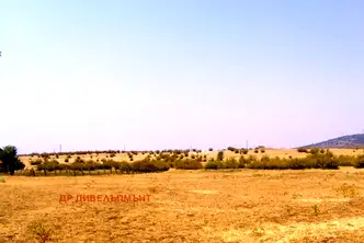 Бизнес имот в Ямбол, с. Меден кладенец