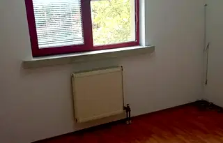 Офис в София, Белите брези