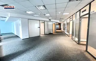Офис в София, Борово