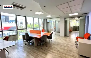 Офис в София, Борово