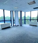 Офис в София, Борово