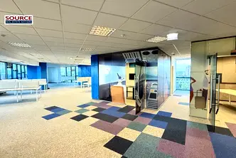Офис в София, Борово