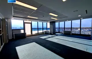 Офис в София, Борово