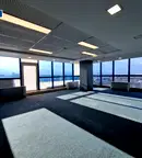 Офис в София, Борово
