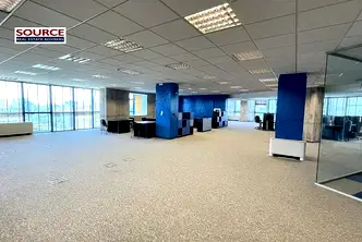 Офис в София, Борово