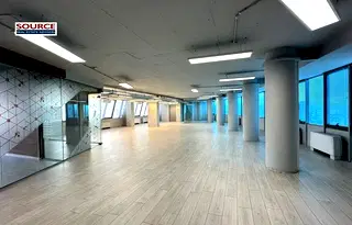 Офис в София, Борово