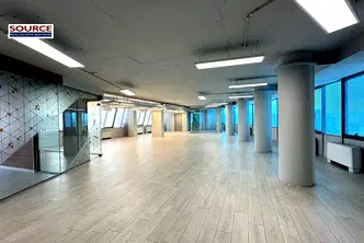 Офис в София, Борово