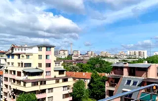 Офис в София, Белите брези