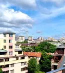 Офис в София, Белите брези