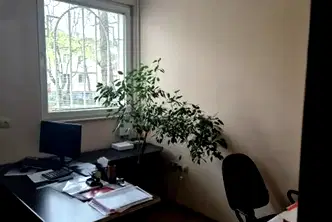 Офис във Враца, Център