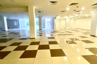 Офис в София, Гео Милев