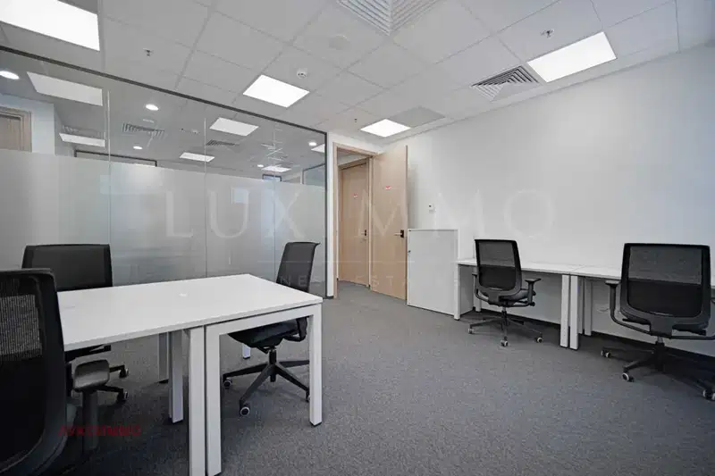 Office in Sofiya, Geo Milev
