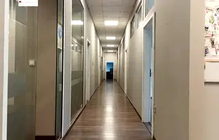 Офис в София, Гео Милев
