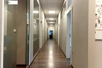 Офис в София, Гео Милев