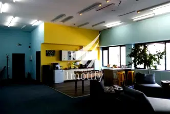 Офис в София, Гео Милев