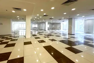 Офис в София, Гео Милев