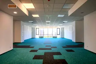 Офис в София, Младост 1