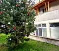 Снимка 2 — Офис в София, Слатина