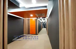 Офис в София, Враждебна