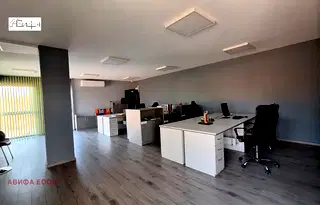 Офис в София, Елин Пелин