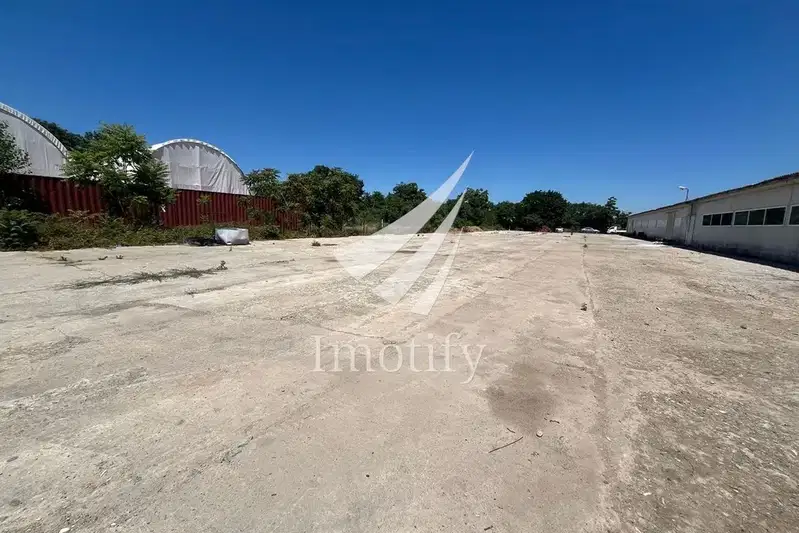 Plot in Krivina